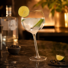 Tipsy Gin Glass