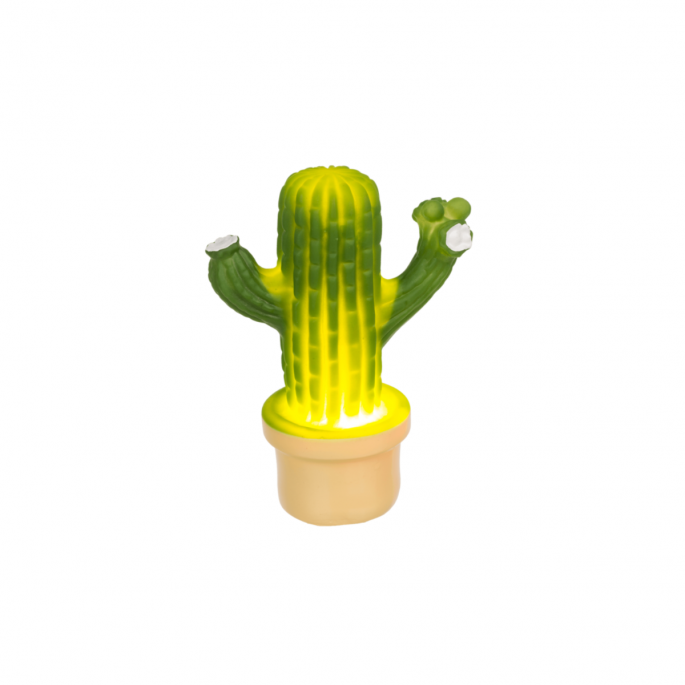 Cactuslampje verlicht