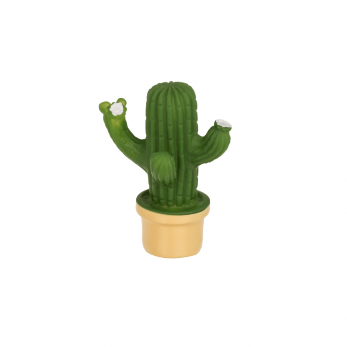 Cactuslampje