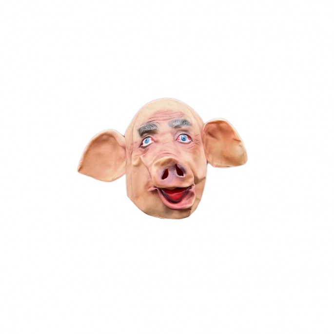 Varkenshoofd masker