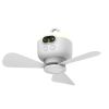 Portable Ceiling Fan
