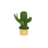 Cactuslampje